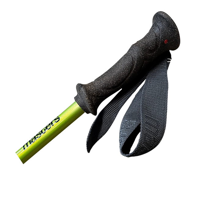 Masters Ranger Walking Pole