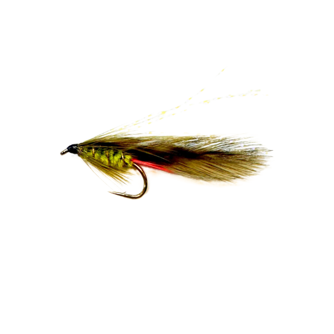 Pat Swift Green Orbit (x6)