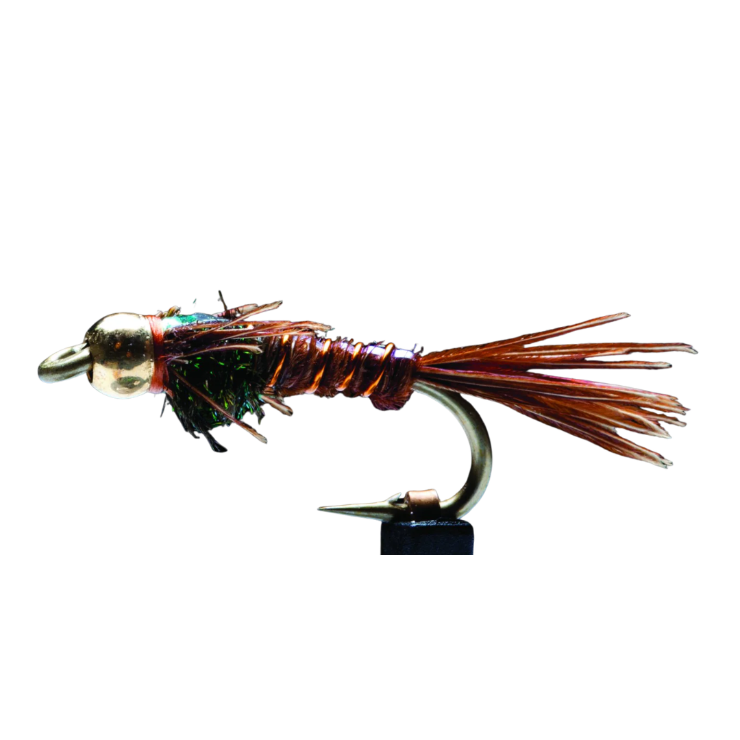 Beadhead Pheasant Tail Flashback - Manic Fly Collection