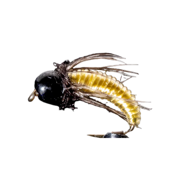 Clearwater Caddis - Manic Fly Collection