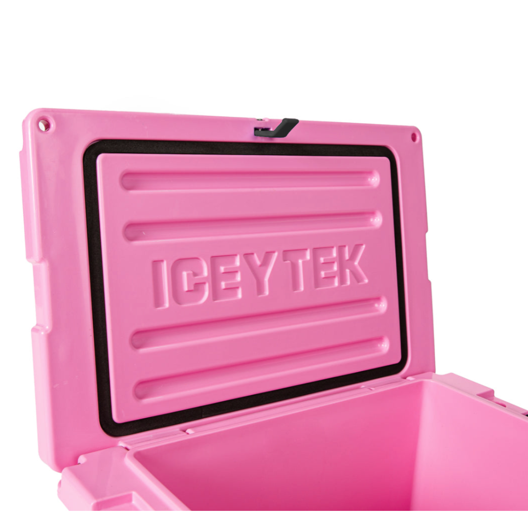 Icey-Tek 22L Chilly Bin