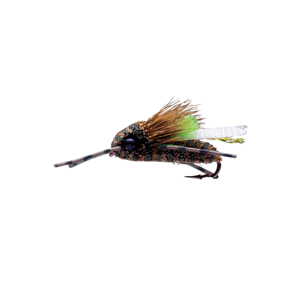 King Cicada #6 - Manic Fly Collection