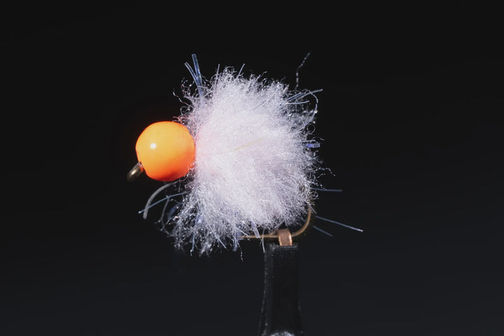 Manic Fly - OTB Eggstasy Egg (1/2 DOZEN)