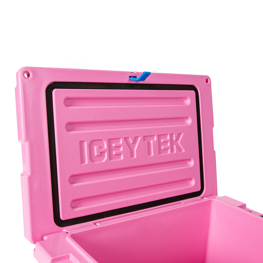 Icey-Tek 22L Chilly Bin