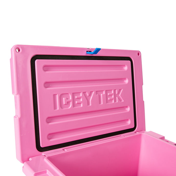 Icey-Tek 22L Chilly Bin