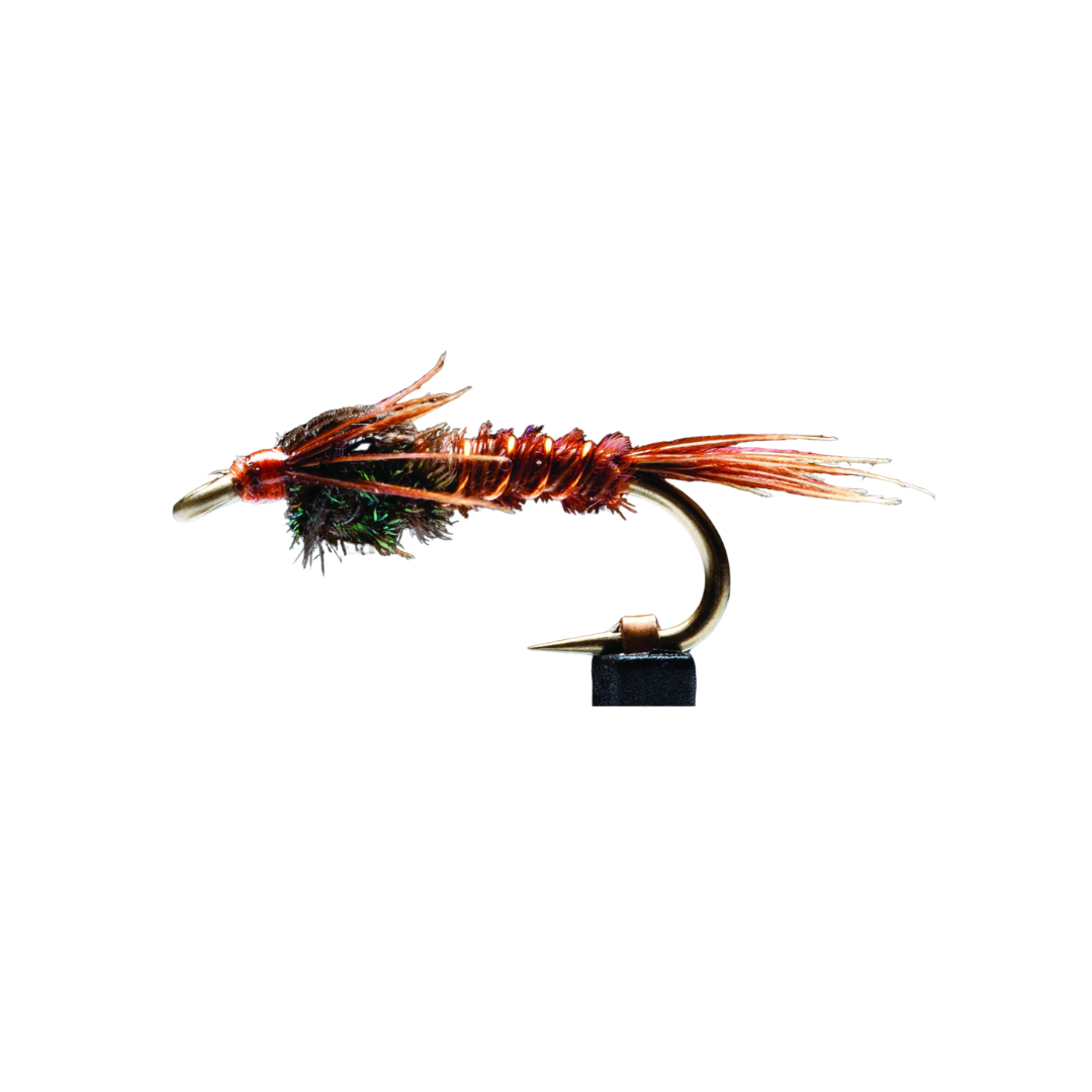 Pheasant Tail Nymph - Manic Fly Collection