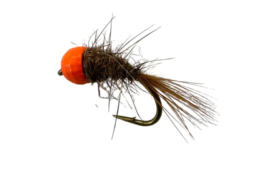 Category 3 Hare and Copper FL OTB (1/2 DOZEN)