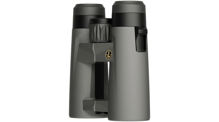 Leupold BX-4 Pro Guide HD 10x42 Roof Grey GEN 2