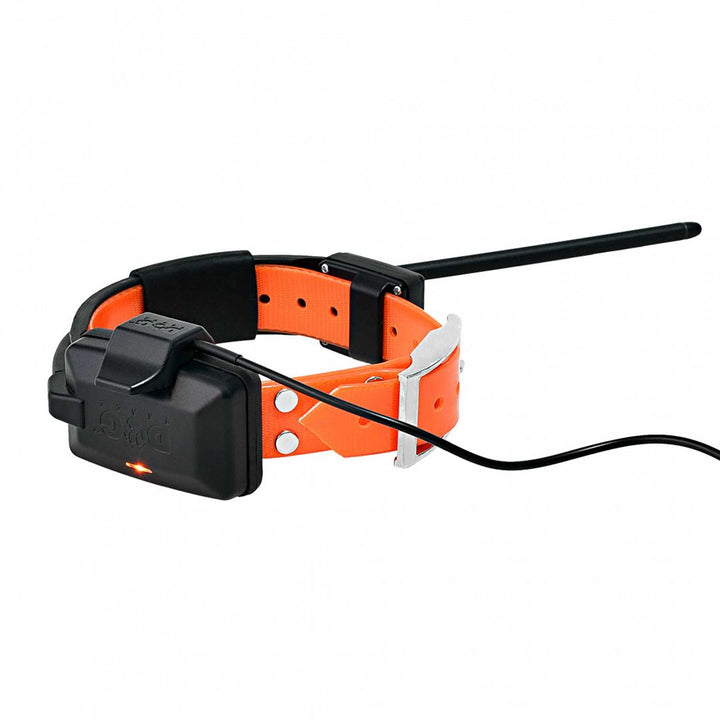 Dog Trace GPS X30T Track & Train Additional Collar Orange