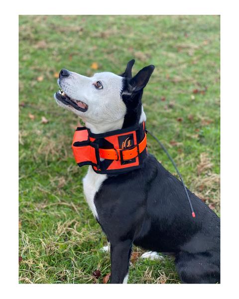 Game Gear Revolution Rip Collar