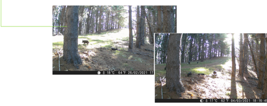 Ridgeline 4K Digital Trail Camera 24 Mp 2" LCD Screen